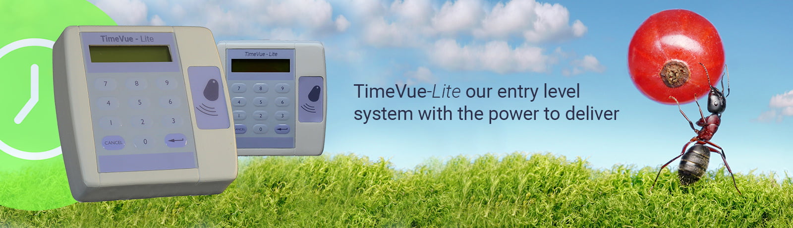 TimeVue-Lite Time & Attendance Entry Level